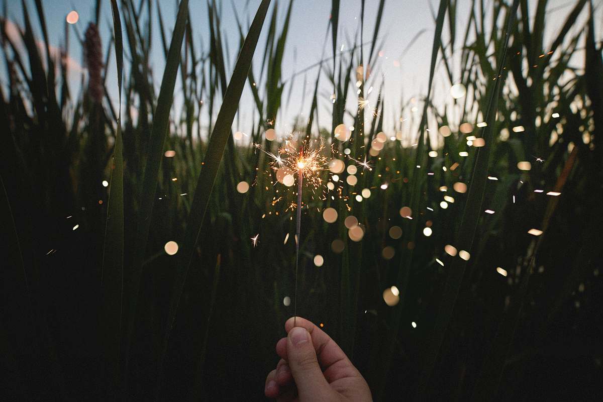 grass person holding firecracker near grasses summer