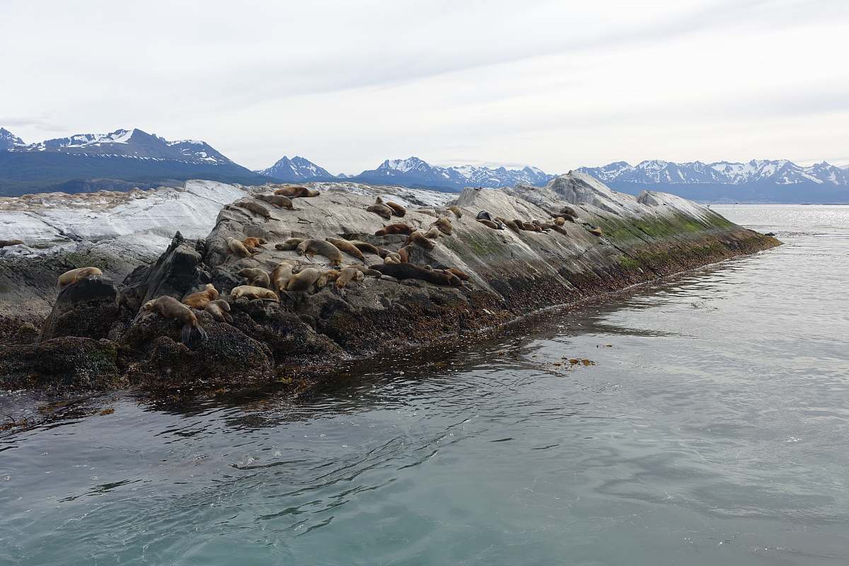 water landscape photography of boulder surrounded by body of water coast