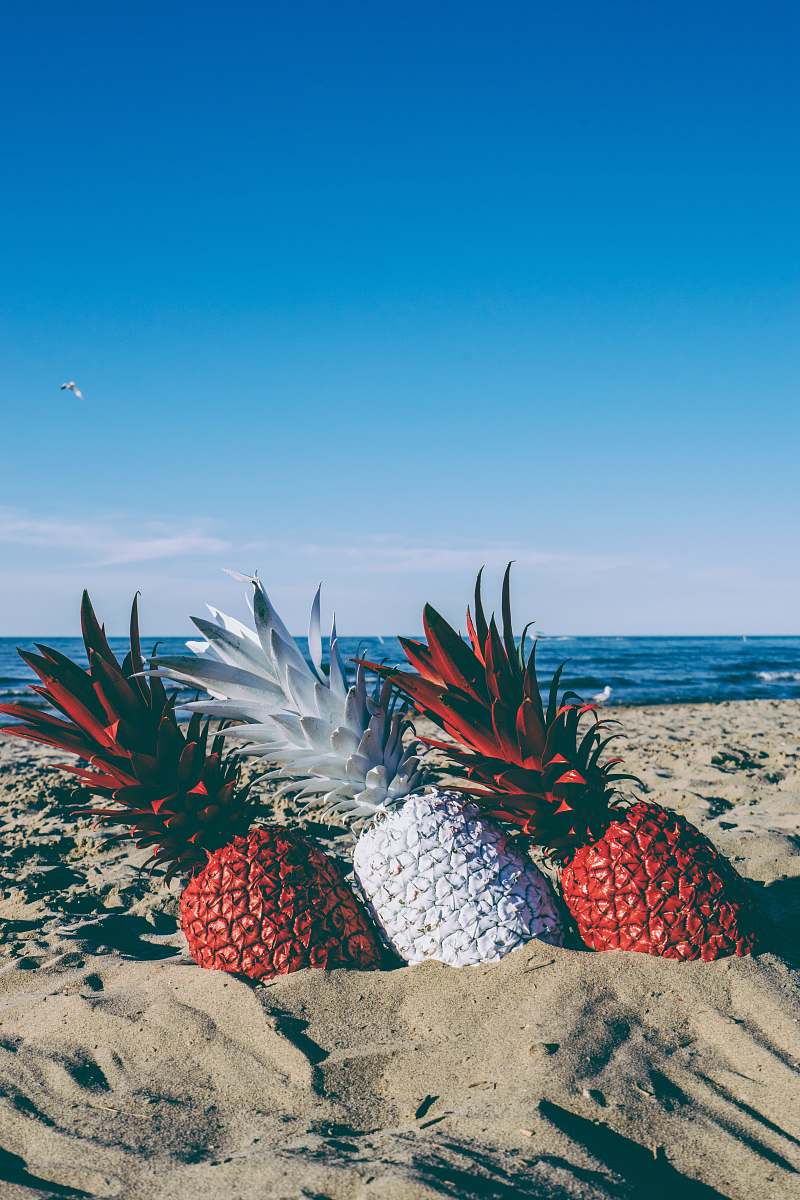 food red and white pineapples on seashore plant