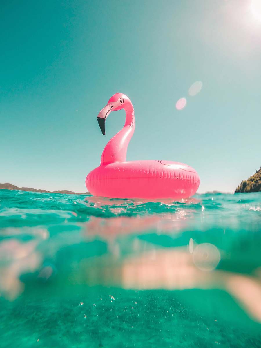 pink pink flamingo swim ring on body of water in summer beach