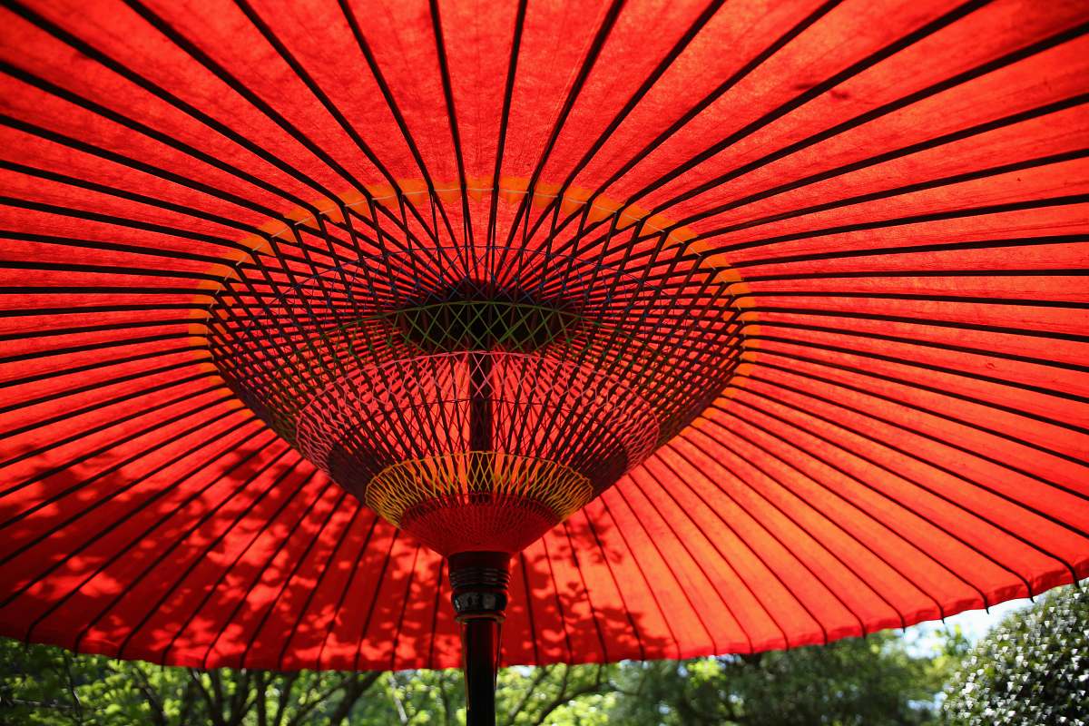 red red patio umbrella circular