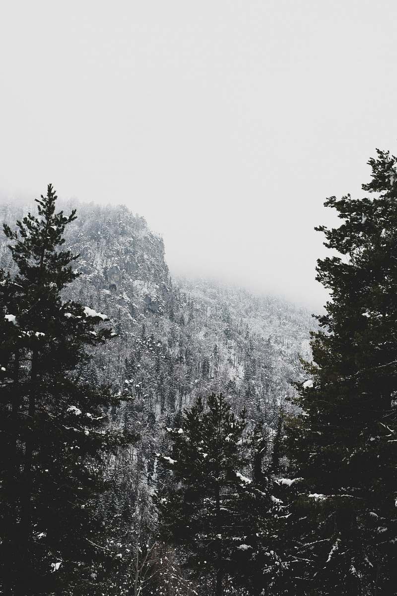 mountain grayscale photo of snow covered mountain and trees tree