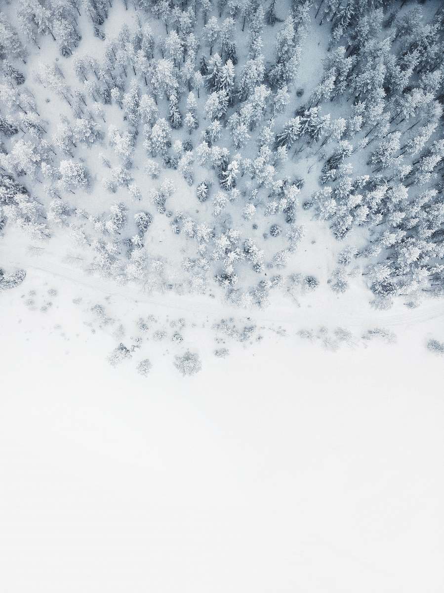 snow aerial photo of snow covered tree lot winter
