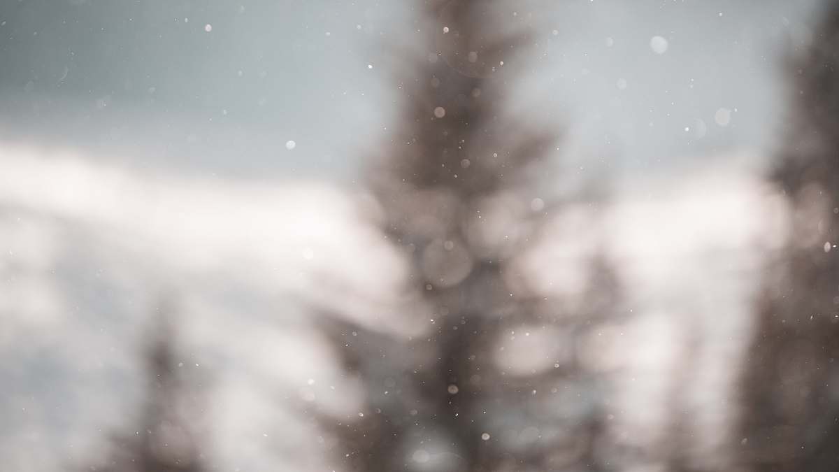 winter  outdoors