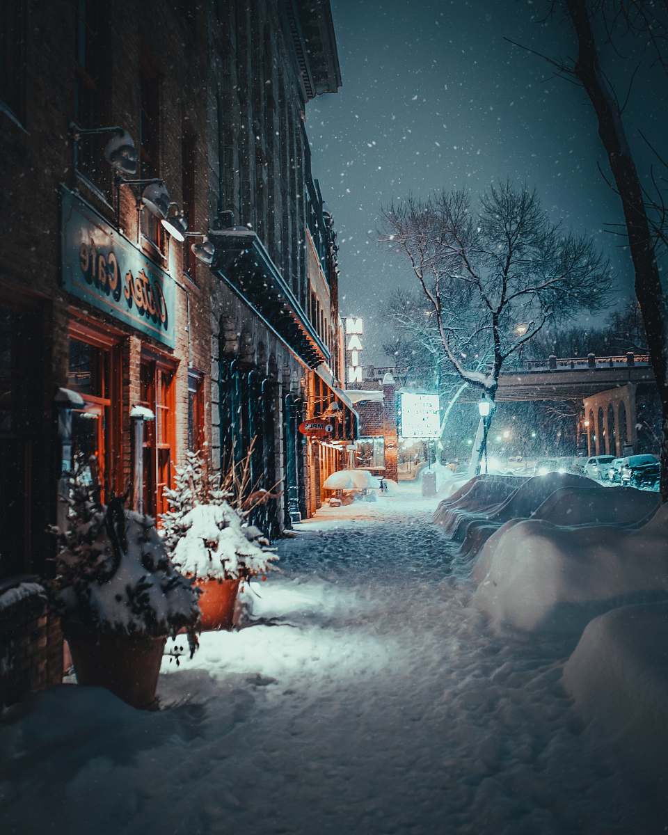 winter snow covered plant and road in front of cafe storm