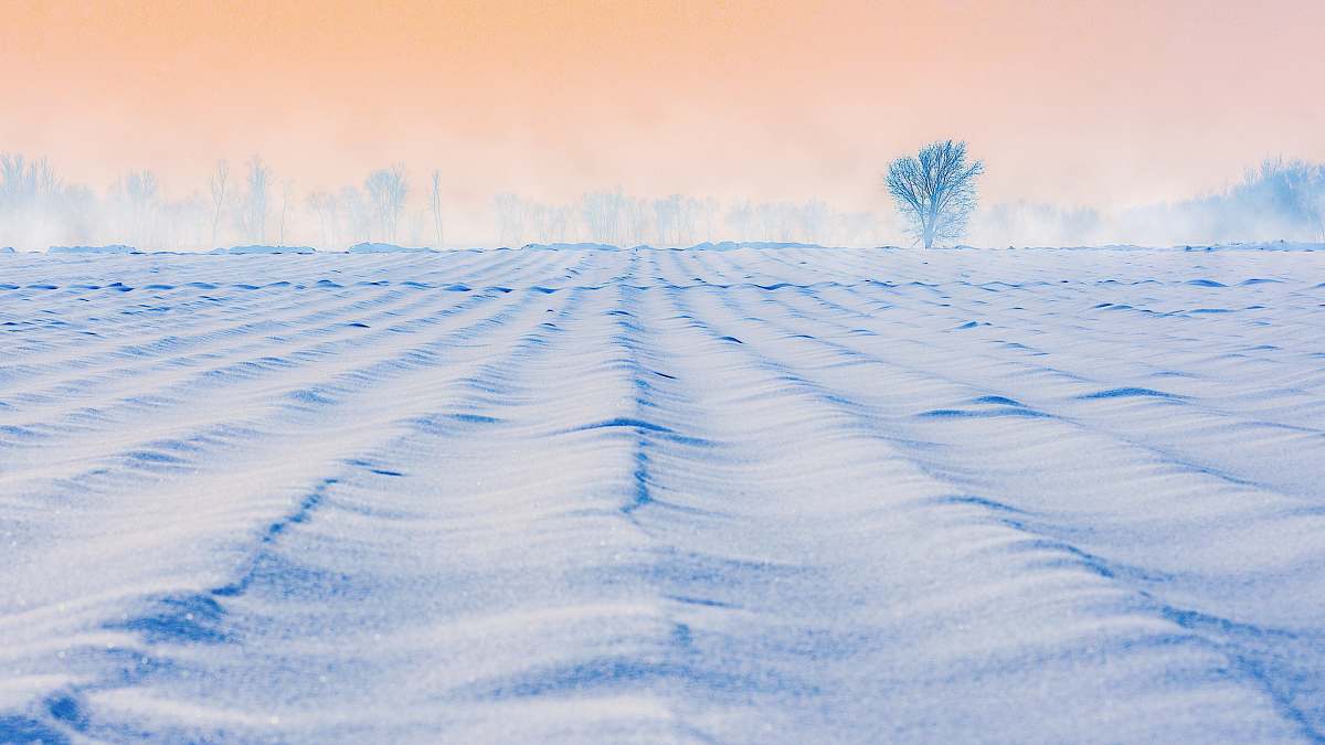 outdoors white sand during daytime field