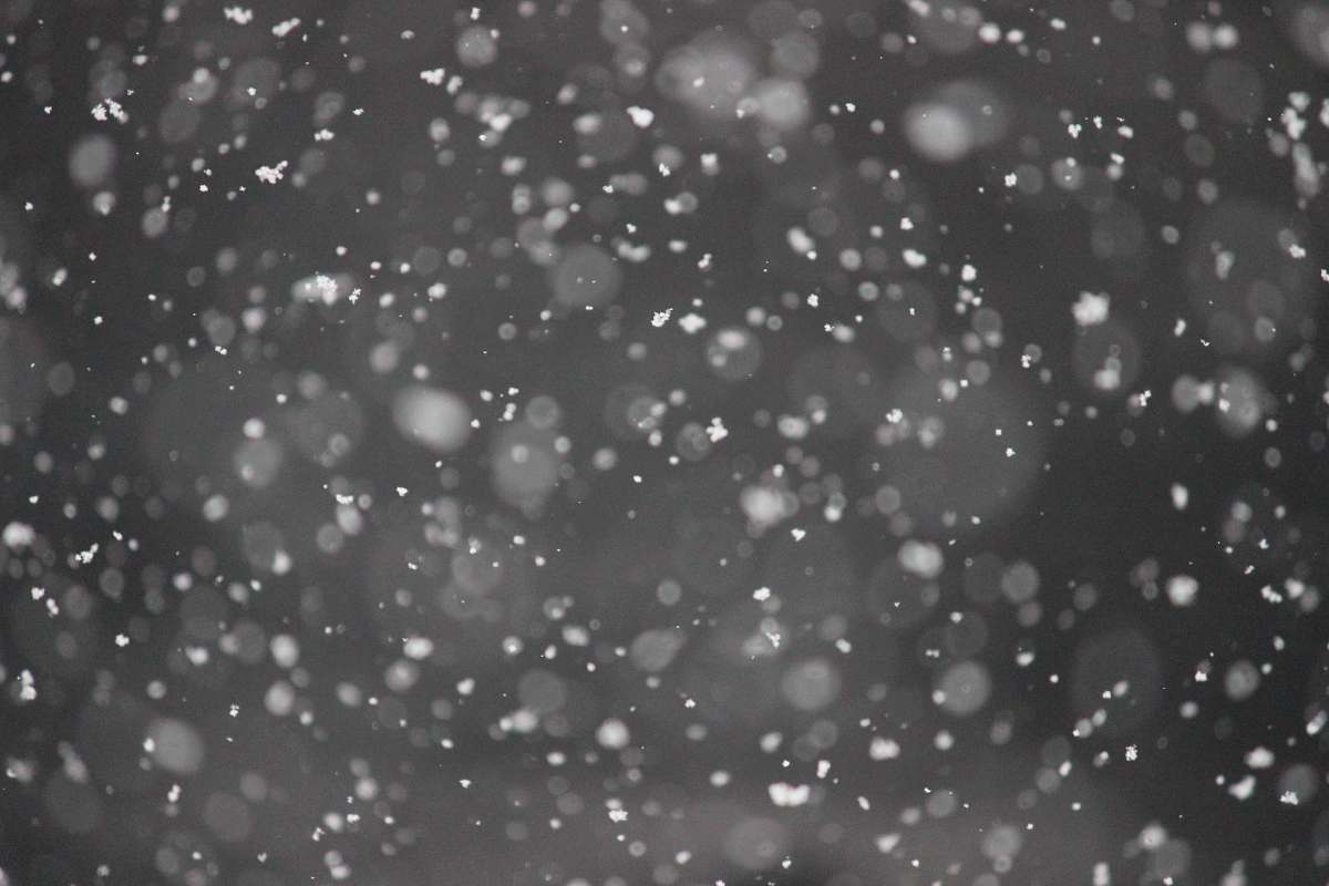 black-and-white bokeh photography of snows grey