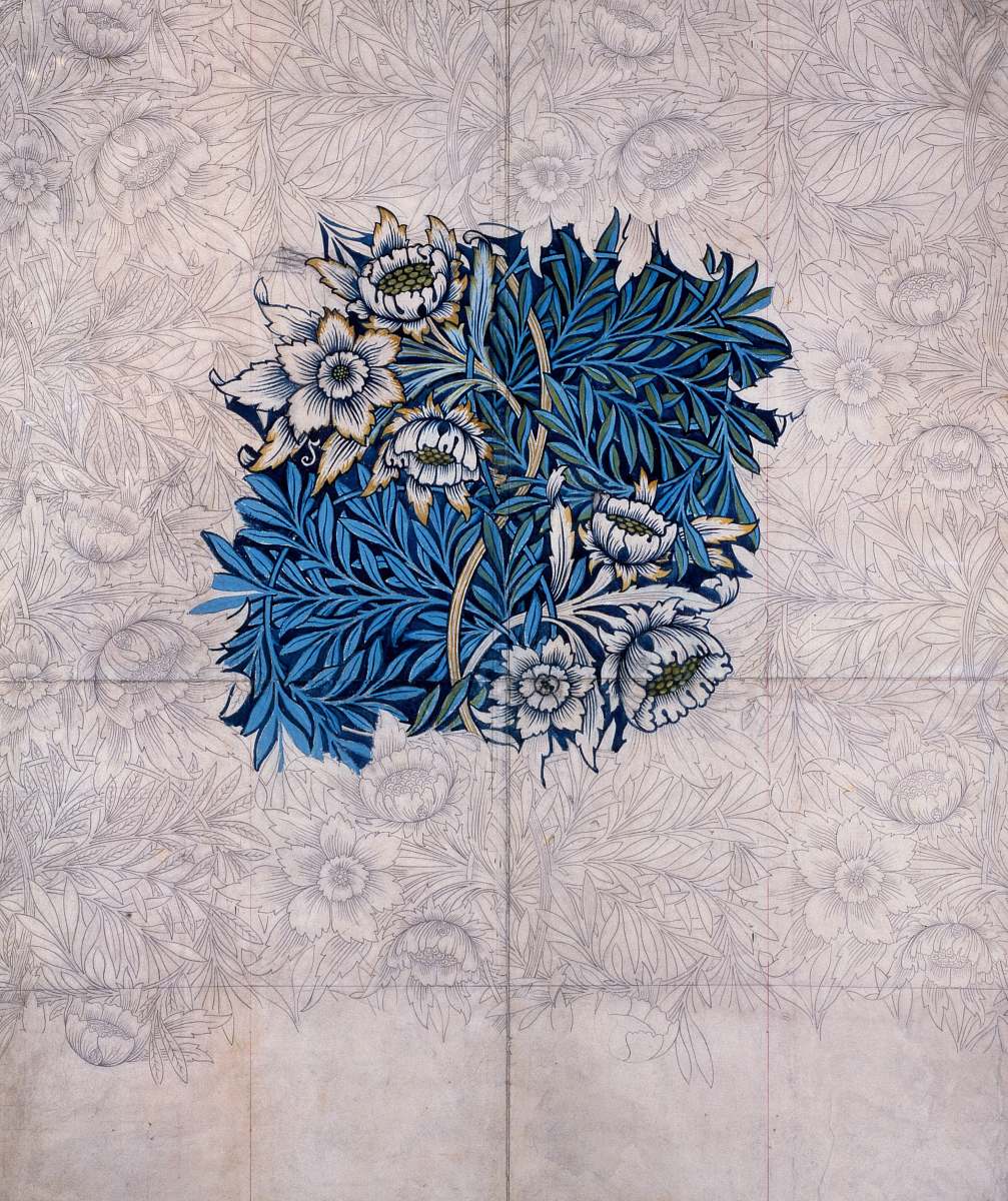 botanical  flower