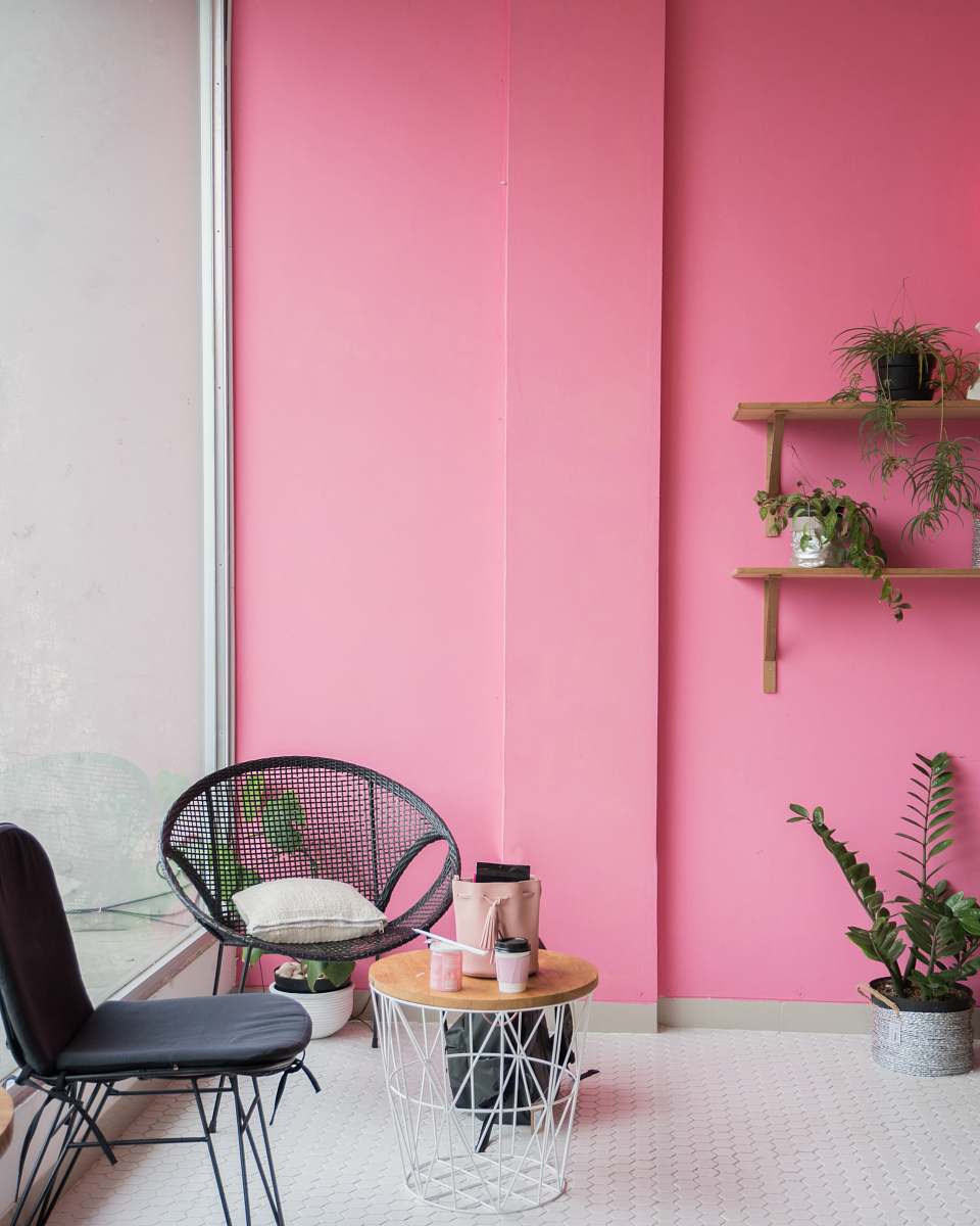 pink round white base glass-top coffee table near two black chairs plant