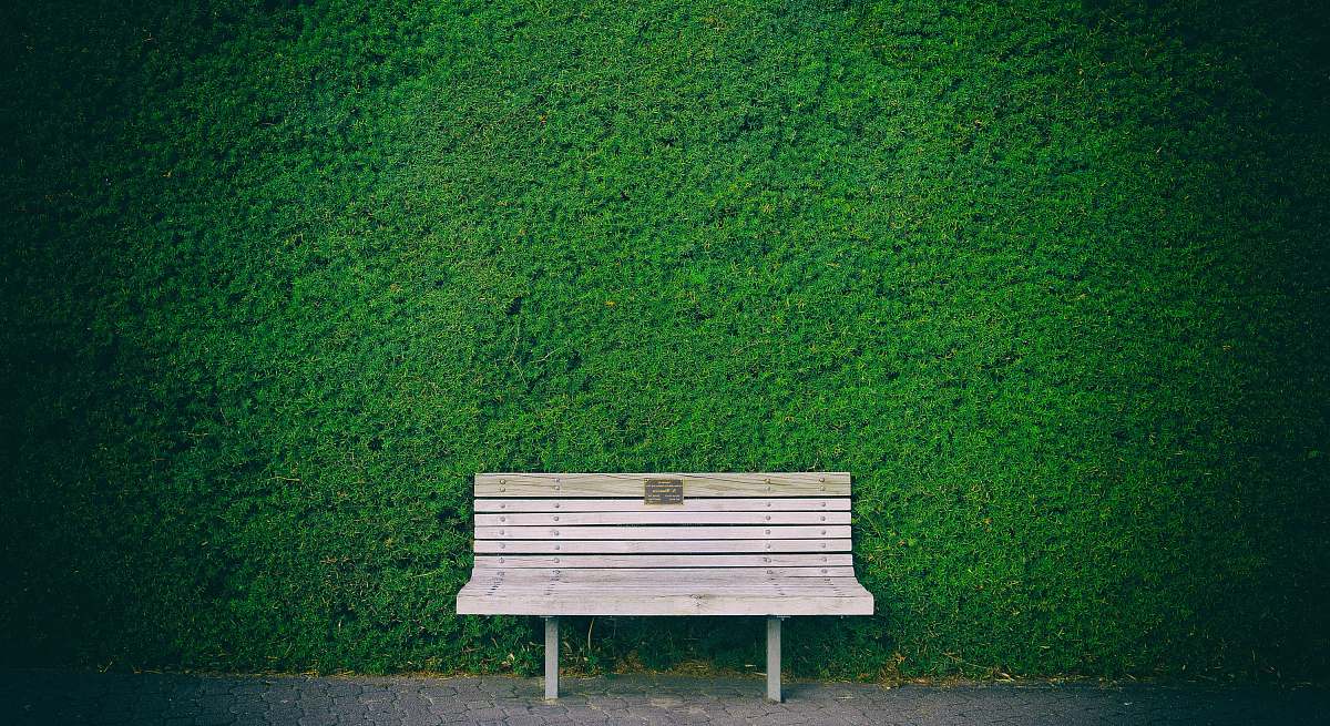 bench empty white wooden bench beside green wall park bench