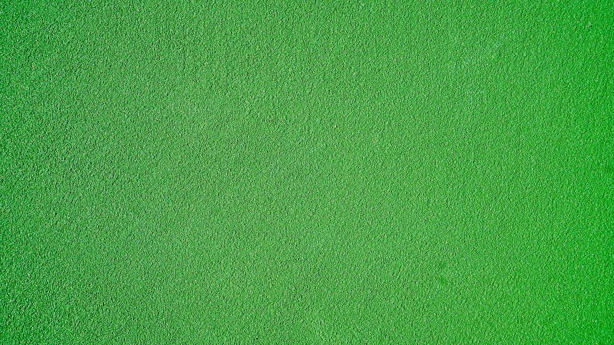 texture green background rug