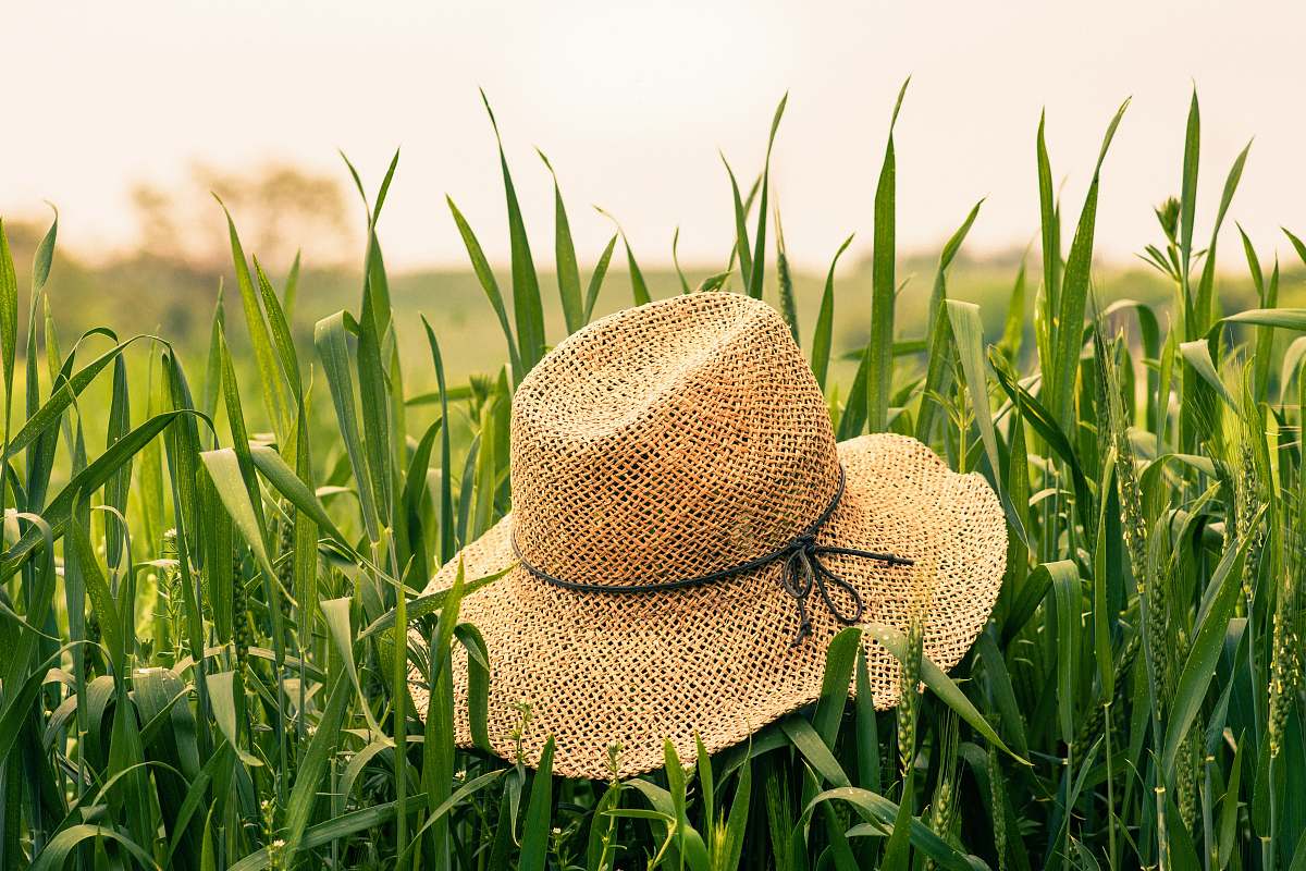 grass brown woven hat on green plant clothing