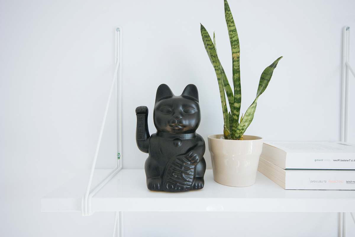 plant black manekineko cat near white potted green leaf plant book