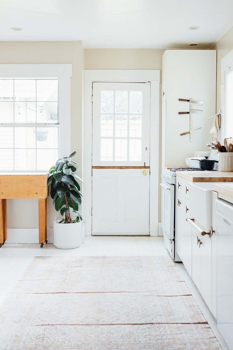 home green potted leaf plant beside white wooden door kitchen