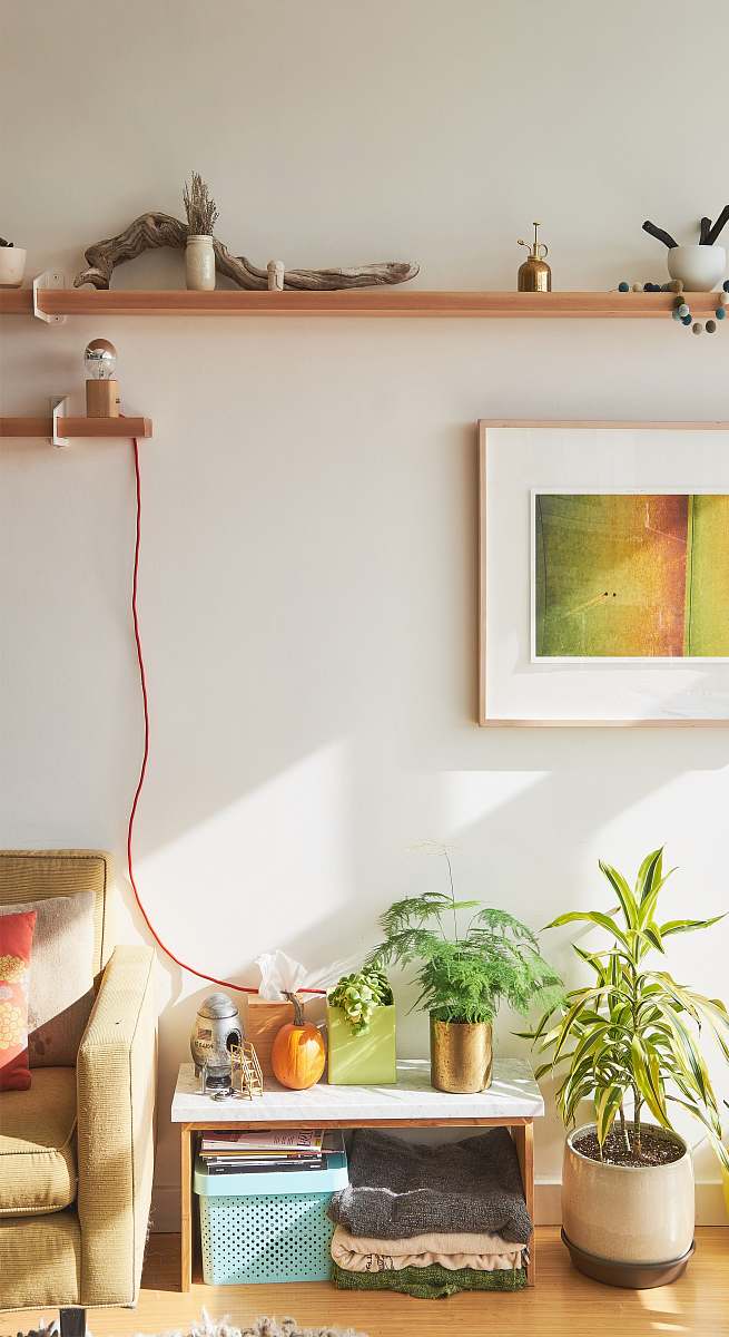 plant green potted plant on white and brown wooden table shelf