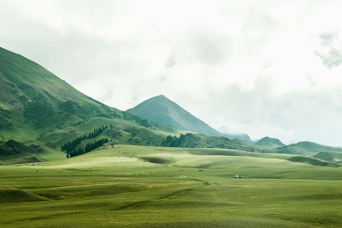 Landscape Bird's Eye View Of Grassland Beside Mountain Field Image Free ...