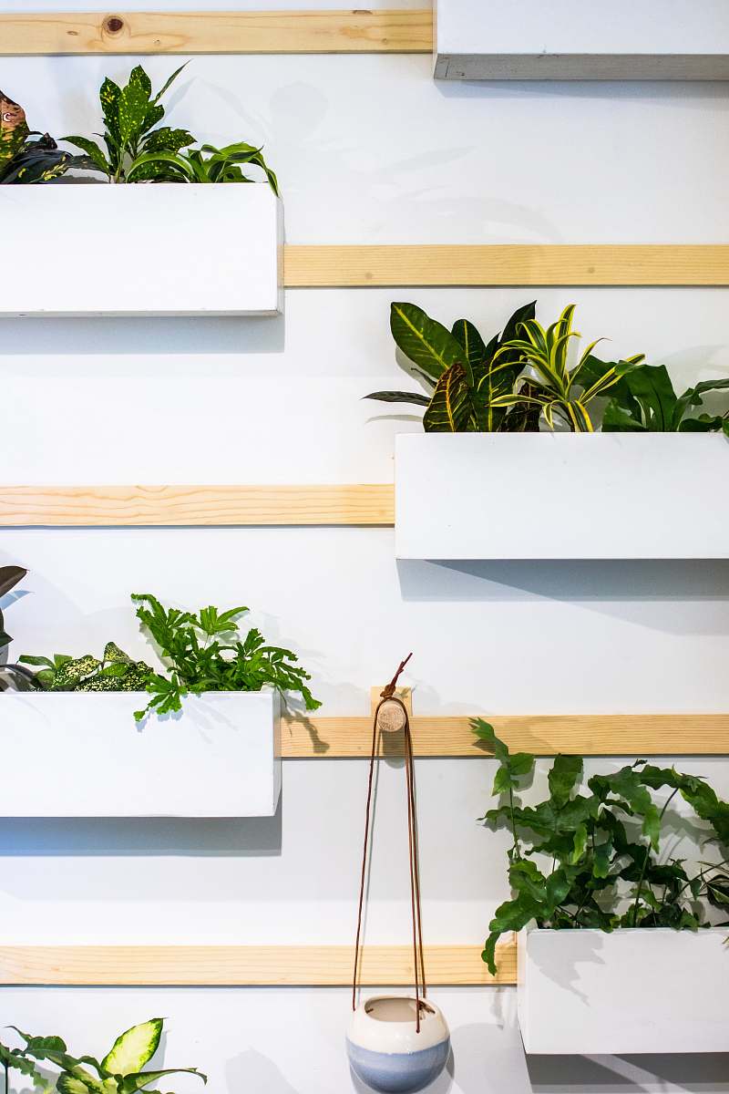 flora plants hanged on white wall jar