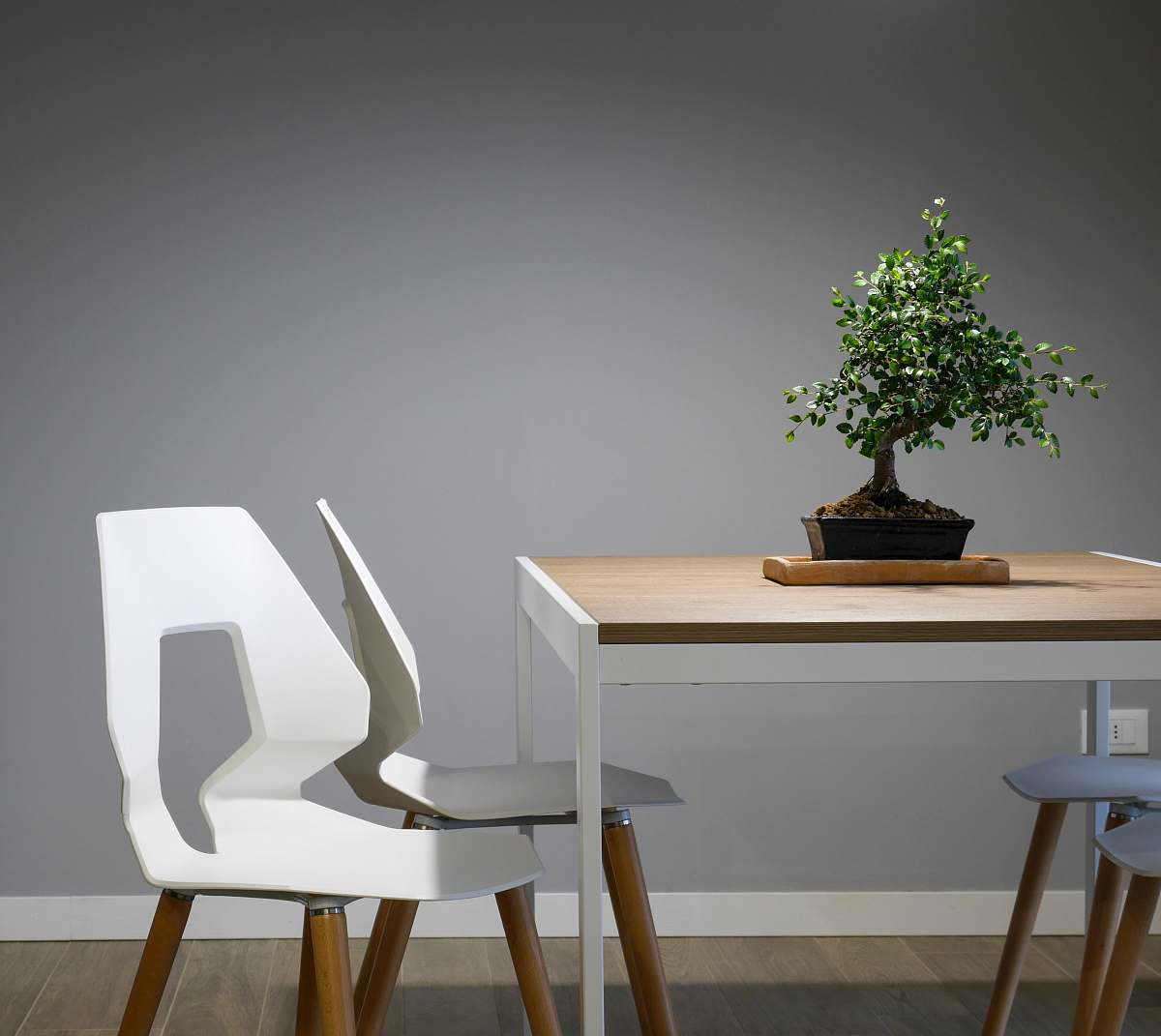 bonsai white and brown wooden table and chair set furniture