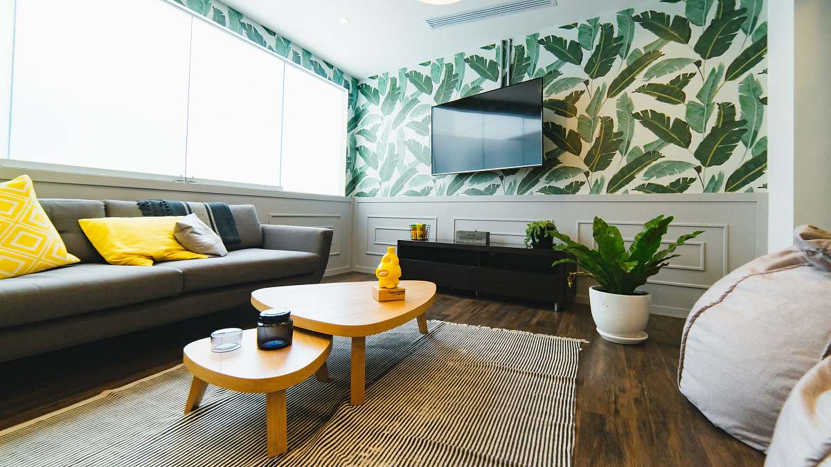 interior photo of flat screen television plant