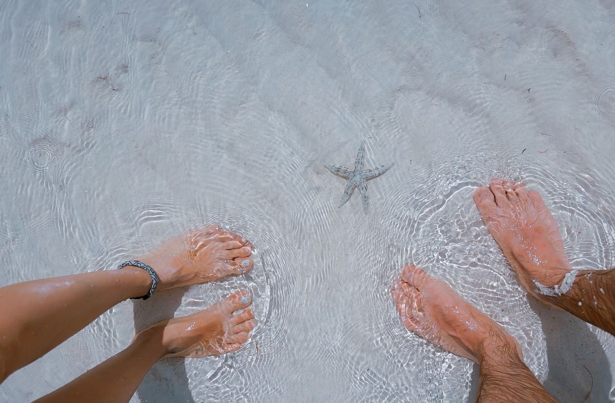 man and woman on seashore nearby starfish
