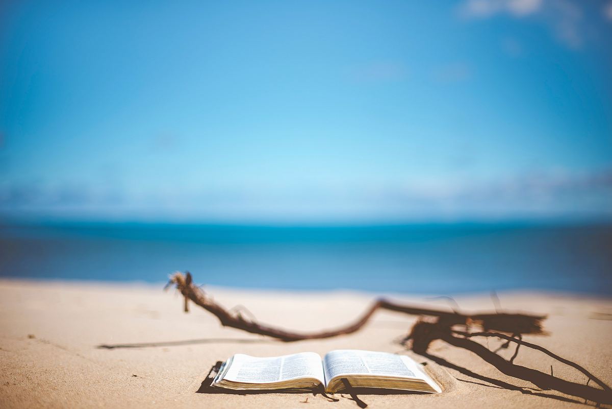opened book near brown wood branch on sand under blue sky