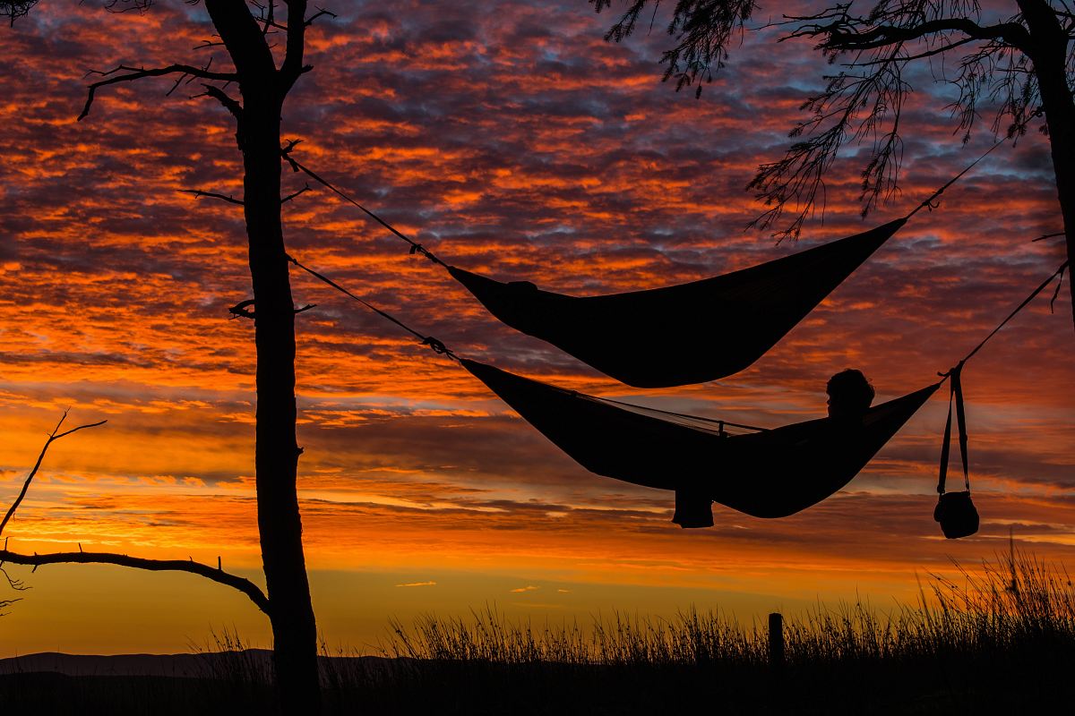 person lying on hammock