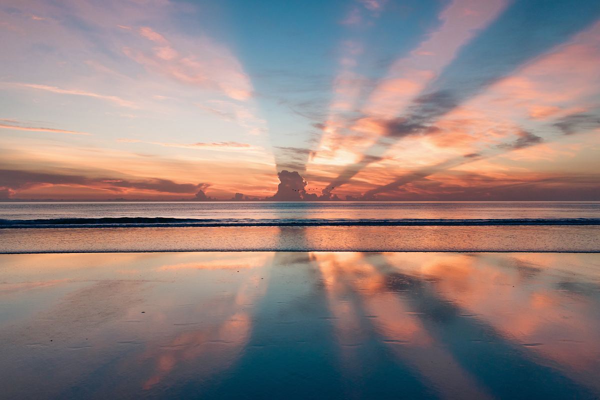 shallow focus photo of sea