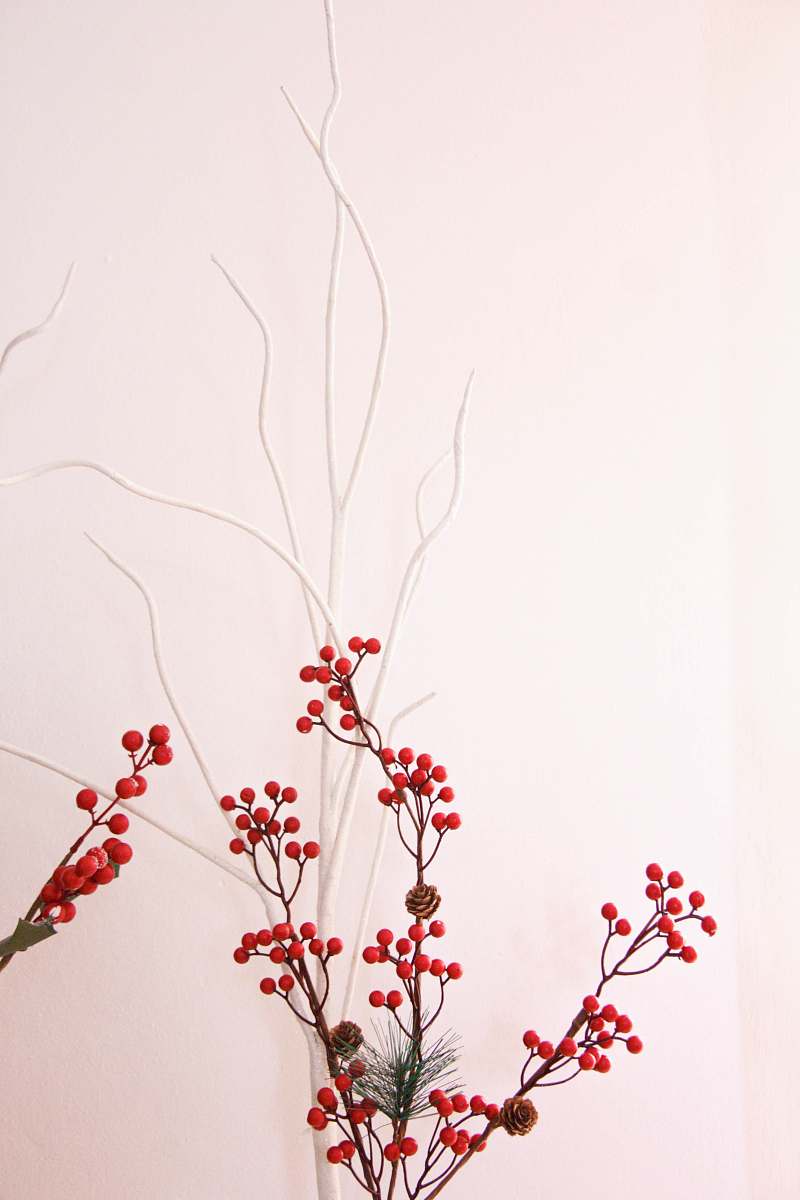 graphics round red fruit tree floral design