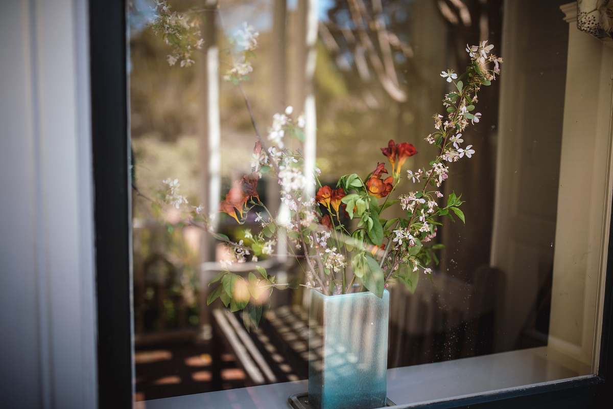 blossom flowers in vase behind clear glass window art