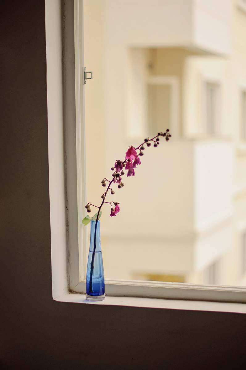 ikebana purple-petaled flowers vase