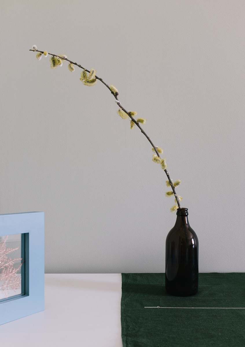 blossom yellow-petaled flower on bottle art