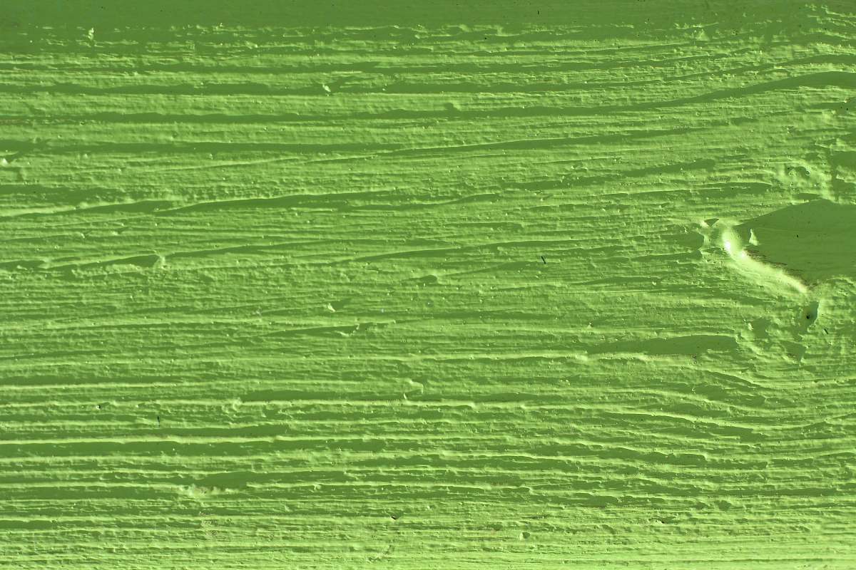 texture  botanic gardens