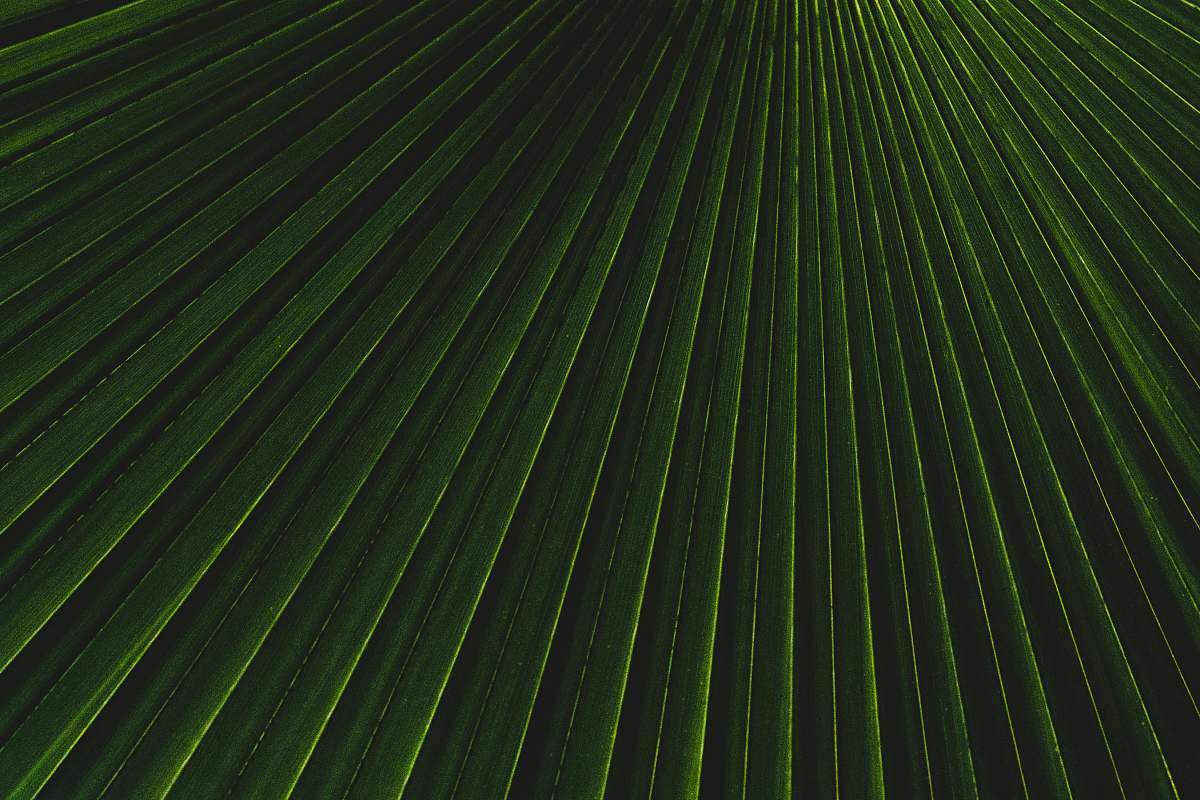 texture green and white stripe textile light