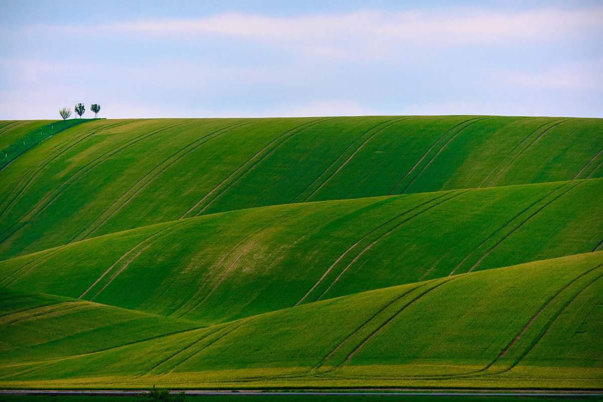 Landscape Panorama Photography Of Green Hills Rolling Hill Image Free Photo