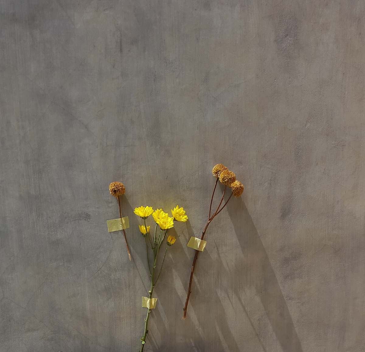 vase yellow flowers jar