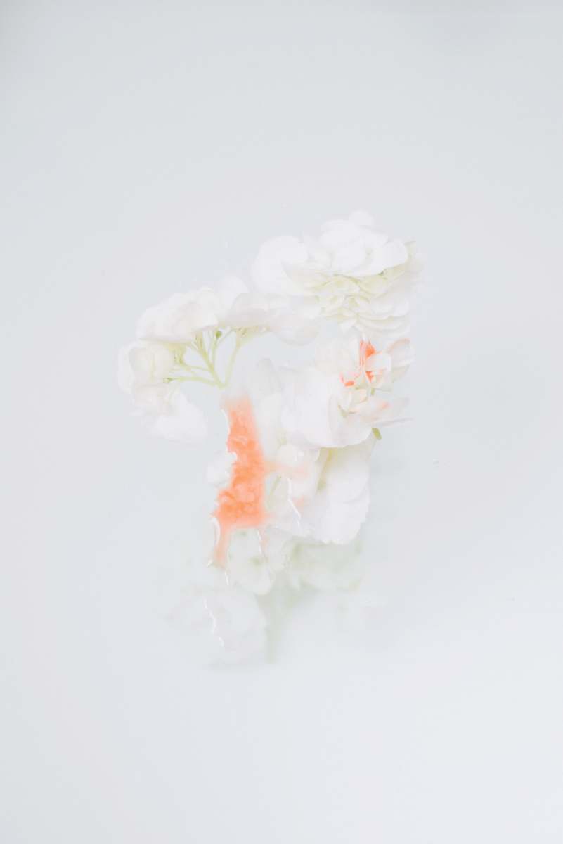 porcelain  art