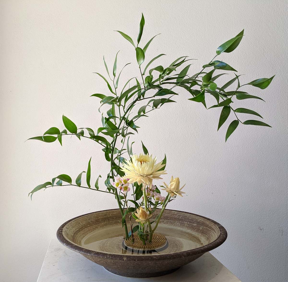blossom white petaled flowers ikebana
