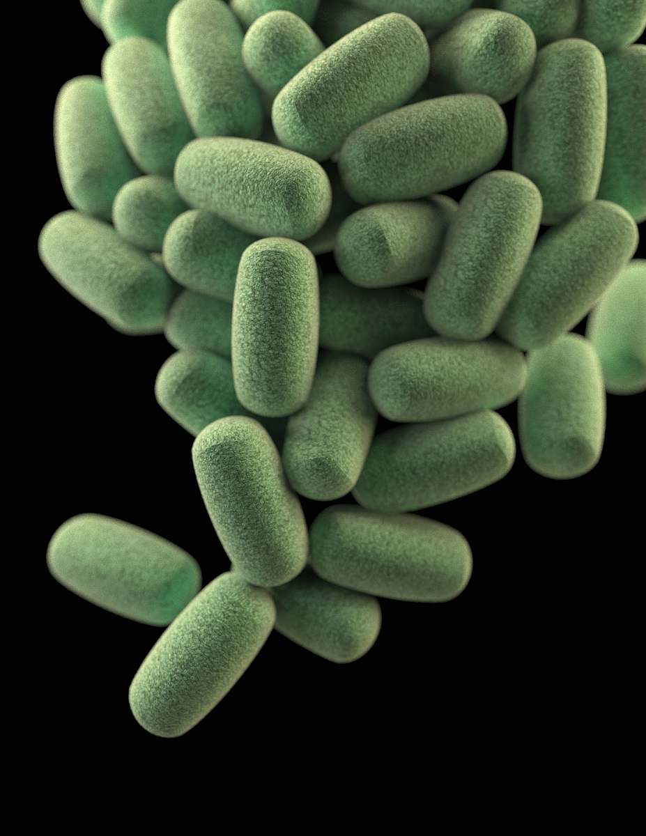 pill green oval medication pill lot gangrene