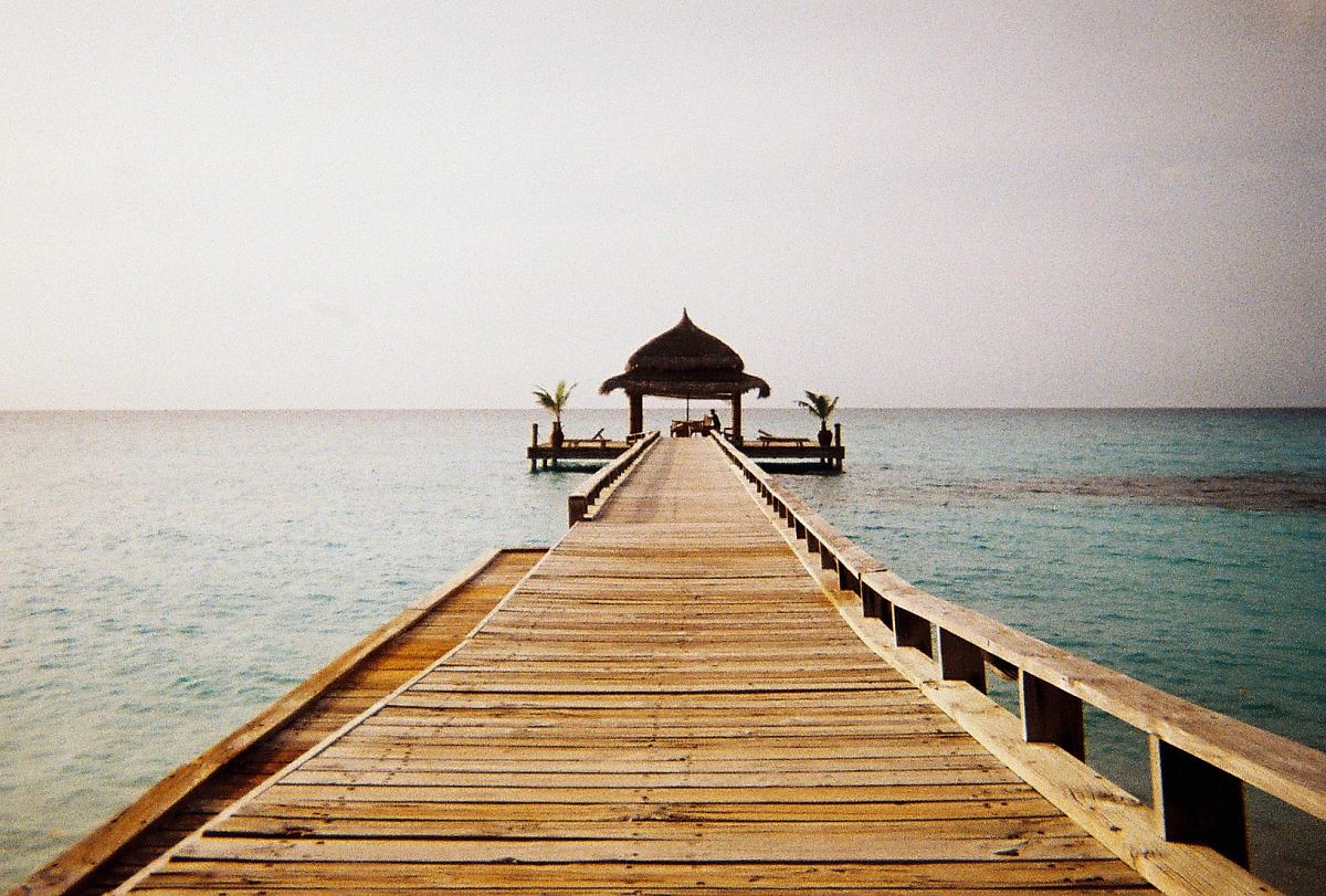 brown wooden walkway on body of water