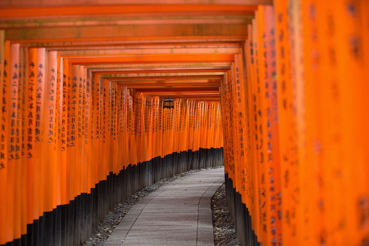 concrete pathway between orange wooden fences