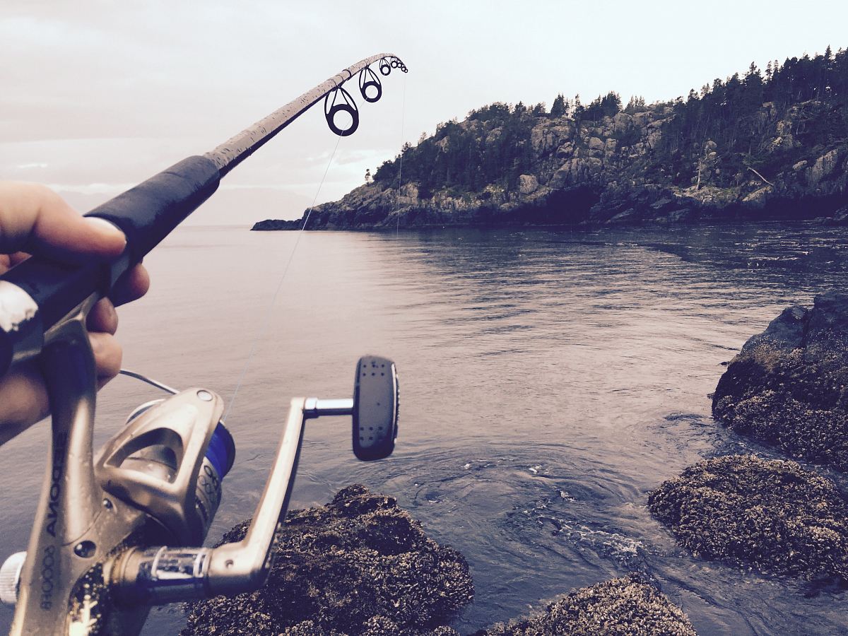 person fishing using black and silver fishing rod during daytime