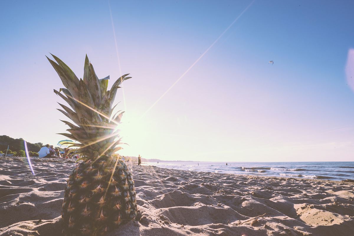 pineapple in beach during daytime