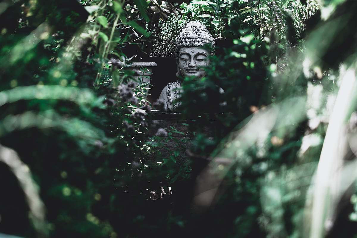 worship Buddha statue surrounded by green trees buddha