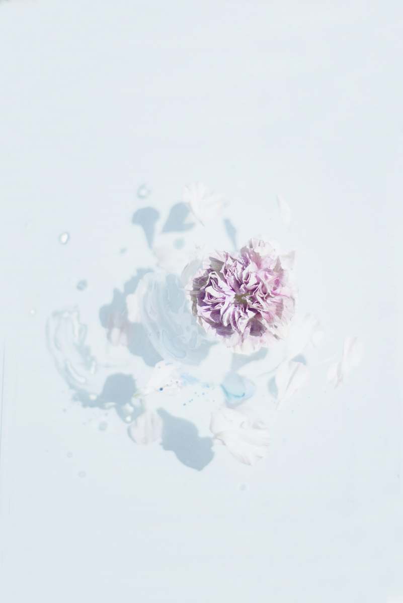 graphics purple flower pattern