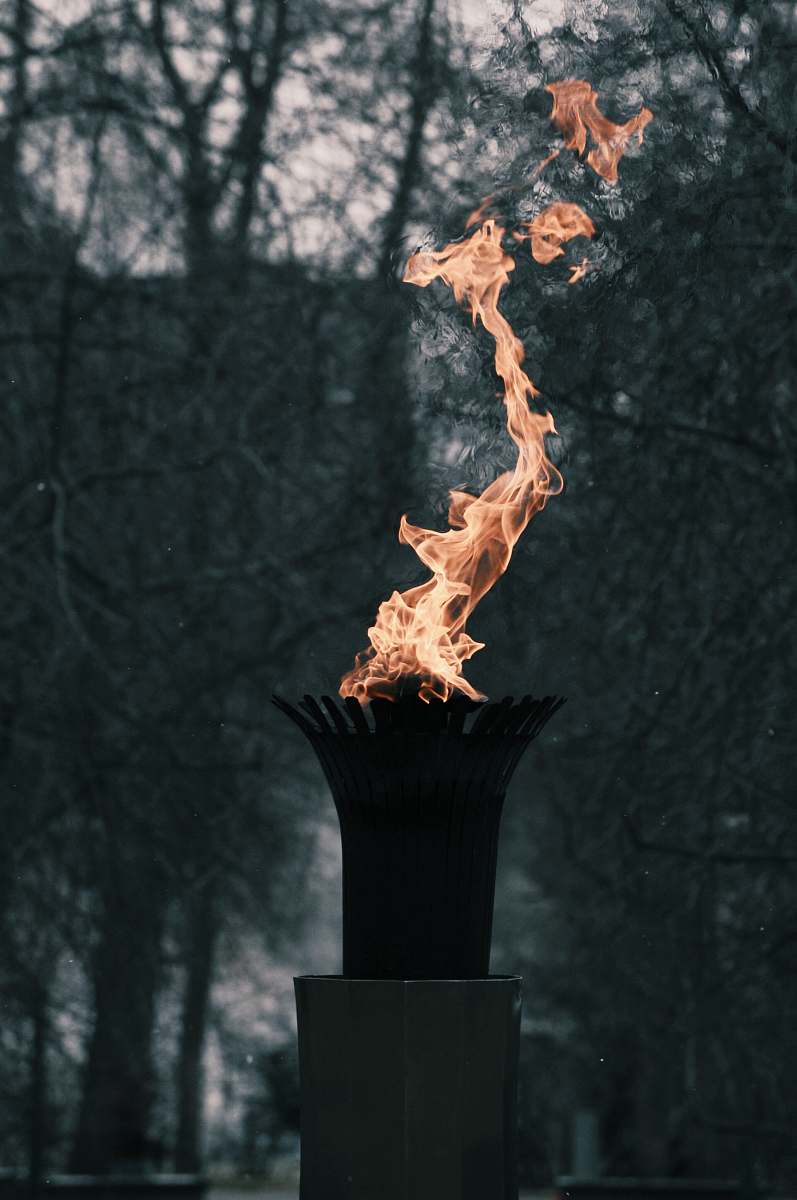 edmonton flame near trees light
