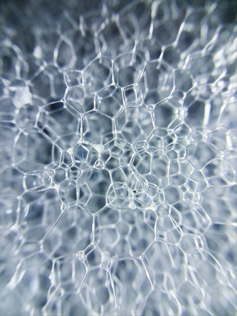 pattern  white