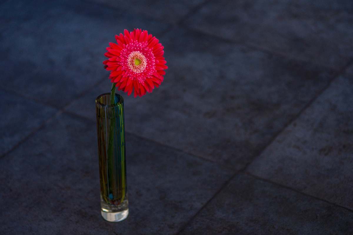 vase  jar