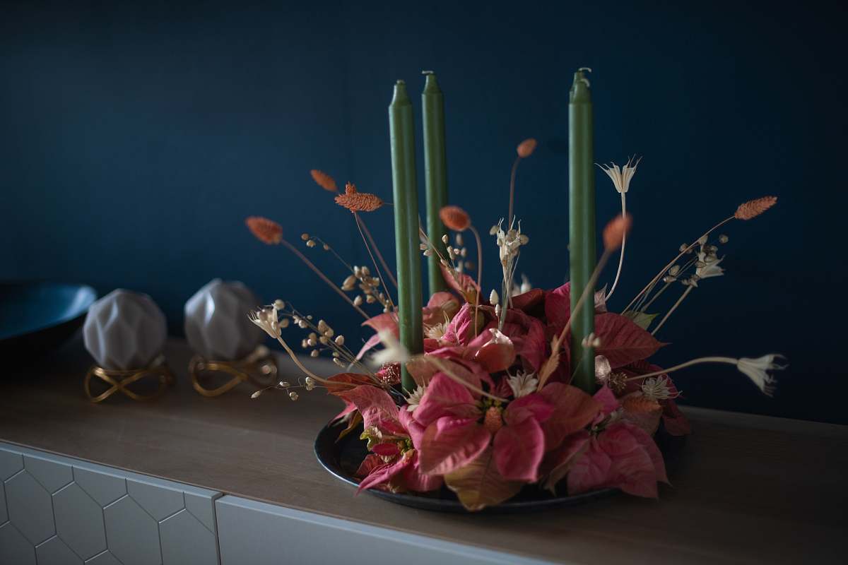 ikebana pink and red petaled flowers flower