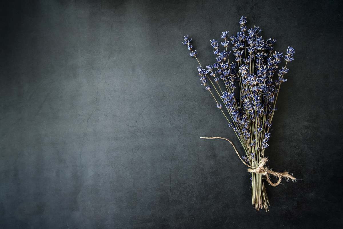 pottery purple lavender flower flower arrangement