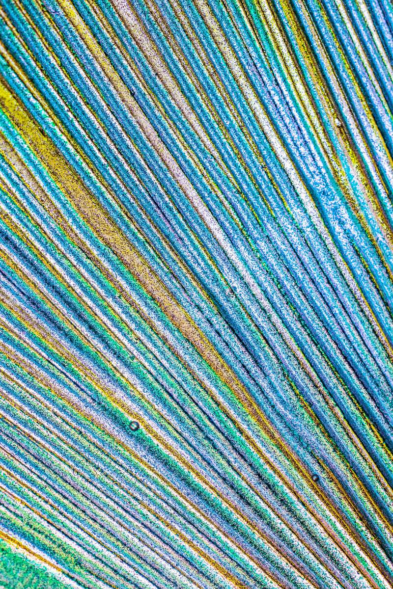 rug  background